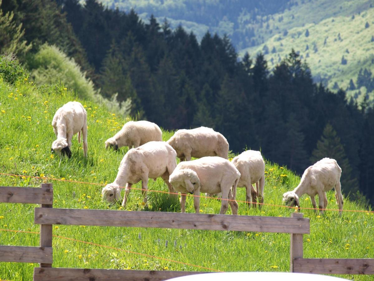 Agriturismo Maso Pertener -Adults Friendly- Comano Terme Luaran gambar